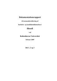 Dokumentationsrapport filosofi - ACE Denmark