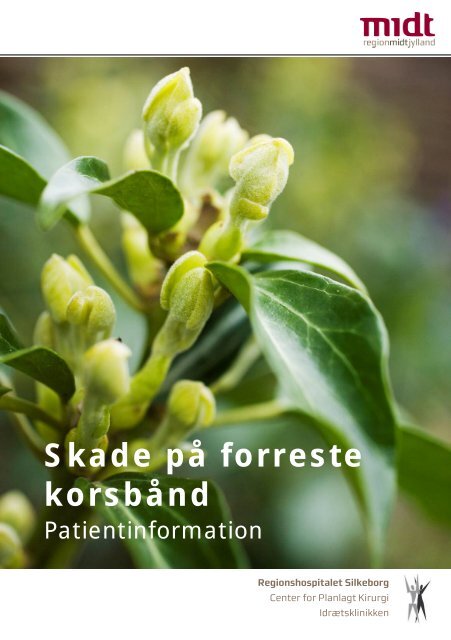 Skade på forreste korsbånd - Hospitalsenhed Midt
