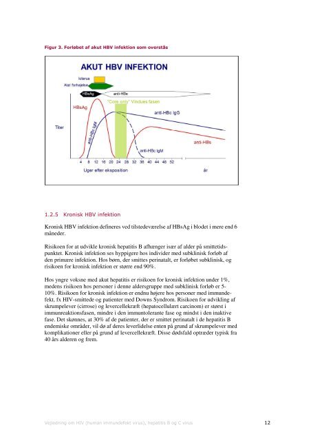 vejledning om hiv (human immundefekt virus) og hepatitis b og c virus