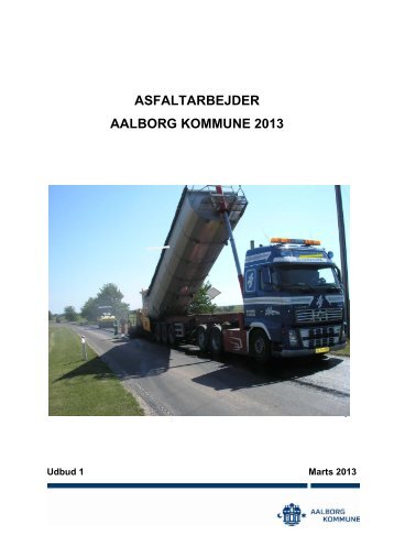 Betingelser - Aalborg Kommune