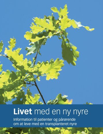 Livet med en ny nyre