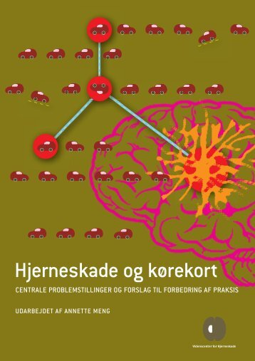 Hjerneskade og kørekort - Servicestyrelsen