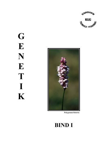 Kompendium Genetik I - Thorkild Steenberg Biologi - Hjemmeside
