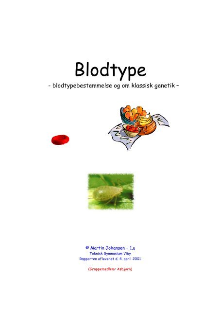 Blodtype - martin theill johansen