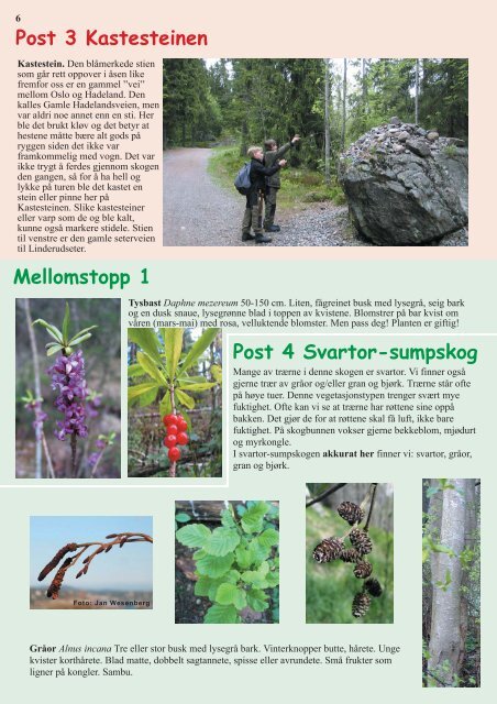 Naturkart for Årvollåsen - Norges Naturvernforbund