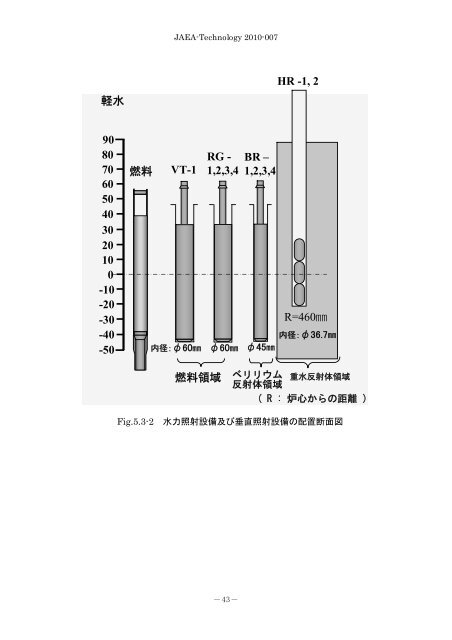 JAEA-Technology-2010-007.pdf:3.76MB - 日本原子力研究開発機構