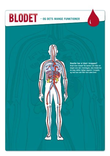 BLODET – OG DETS MANGE FUNKTIONER