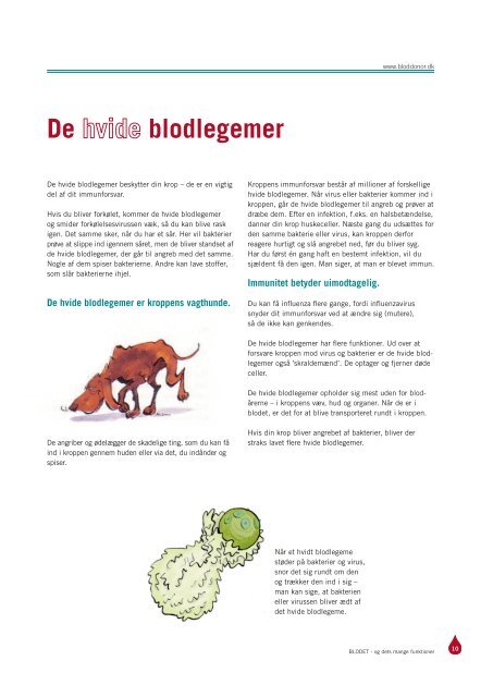 BLODET – OG DETS MANGE FUNKTIONER