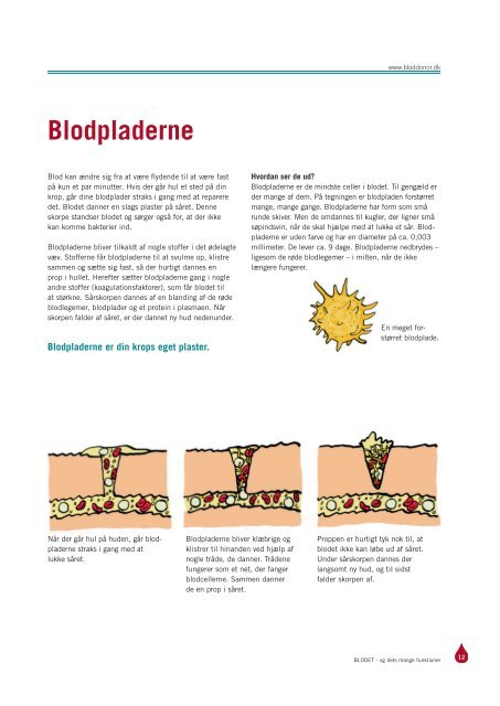 BLODET – OG DETS MANGE FUNKTIONER