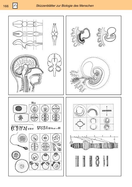 Lieder Katalog