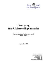 Slutevaluering af indsatsområde B 2000-2004 - Matematik og ...