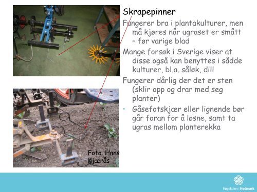 ugrasregulering i grønnsaksproduksjon - Blæstad