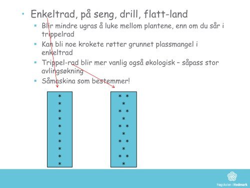 ugrasregulering i grønnsaksproduksjon - Blæstad