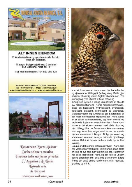¿Qué Pasa? - Den Norske Klubben Costa Blanca