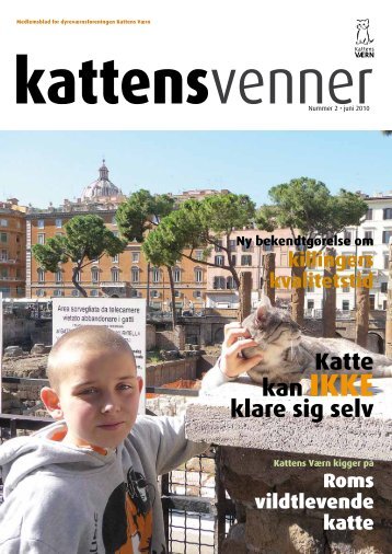 Katte kan IKKE klare sig selv - Kattens Værn