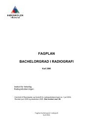 FAGPLAN BACHELORGRAD I RADIOGRAFI