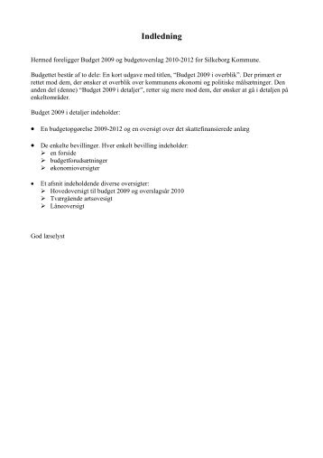 Budget 2009 - i detaljer (pdf) - Silkeborg Kommune