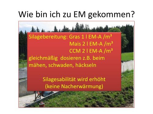 Effektive Mikroorganismen im landwirtschaftlichen ... - bei der GKB eV