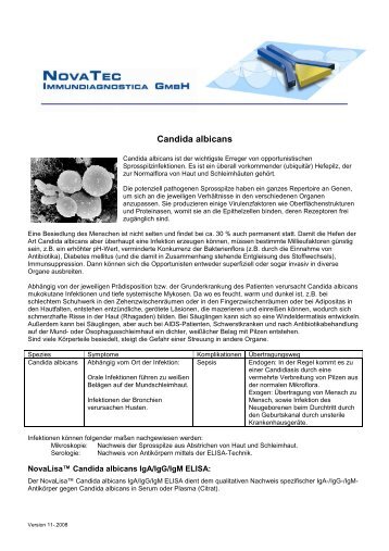 Candida albicans-dt-112008