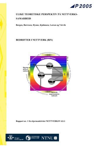 ULIKE TEORETISKE PERSPEKTIV PÅ NETTVERKS - P2005 - NTNU