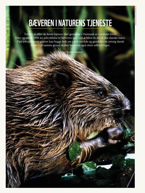 Levende Natur - December 2012 - WWF