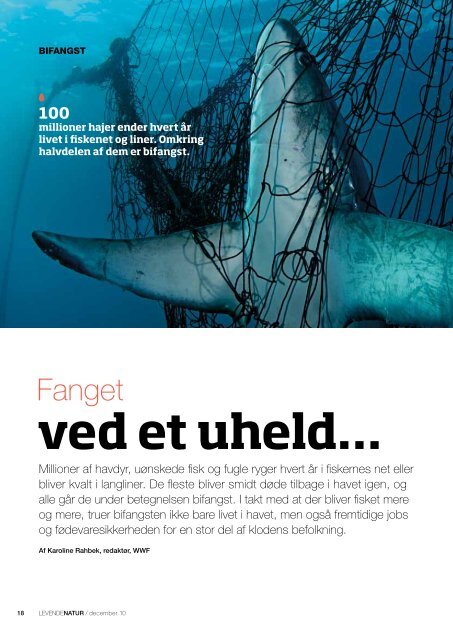 havets sidste fisk - WWF