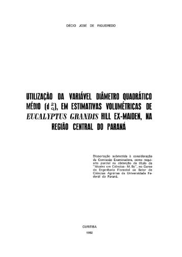 D - FIGUEIREDO, DECIO JOSE DE.pdf - DSpace - Universidade ...