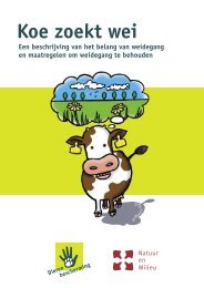 Download hier het rapport Koe zoekt wei - Natuur en Milieu ...