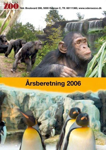 Årsberetning 2006