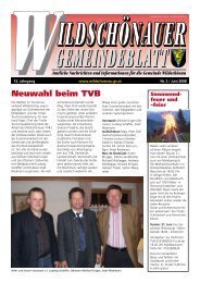 Gemeindezeitung Juni 2008 (2,90 MB) - Gemeinde Wildschönau ...