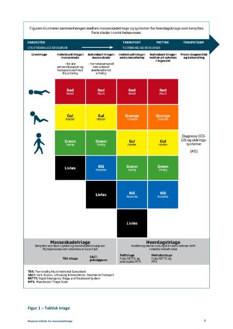 Nasjonal veileder for masseskadetriage - Helsedirektoratet