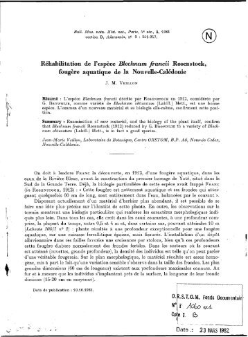 Réhabilitation de l'espèce Blechnum francii Rosenstock, fougère - IRD