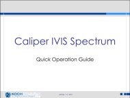 Caliper IVIS Spectrum