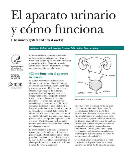 tubo de uréter agrandado tubo de uréter agrandado