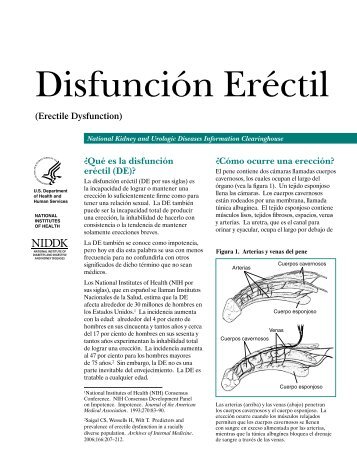 Disfunción Eréctil - National Kidney and Urologic Diseases ...