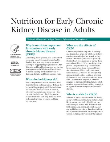 Nutrition for Early Chronic Kidney Disease in Adults