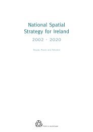 National Spatial Strategy For Ireland 2002 - 2020 - Full ... - Kildare.ie