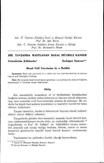 BıR TAVŞANDA RASTLANAN BAZAL HÜCRELİ KANSER ...