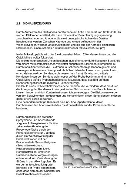 Rasterelektronenmikroskopische Untersuchungen Werkstoffkunde ...