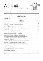 Amtsblatt des MBJS, 2008, Nummer 05, Seiten 145-216 - BRAVORS