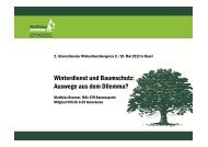 Winterdienst und Baumschutz: Auswege aus dem Dilemma?