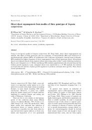 Direct shoot organogenesis from needles of three genotypes of ...