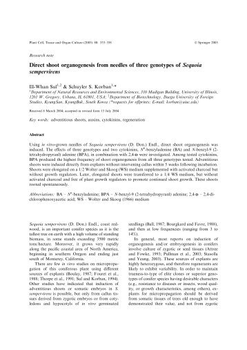 Direct shoot organogenesis from needles of three genotypes of ...