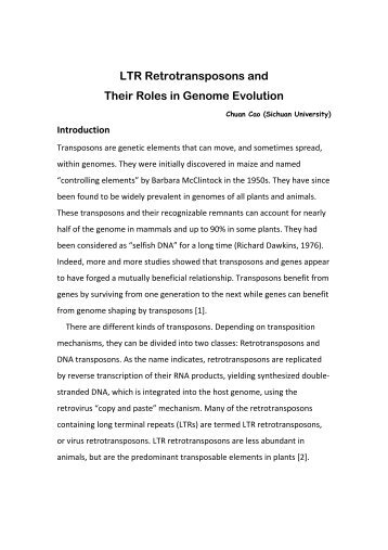 LTR Retrotransposons and Their Roles in Genome Evolution