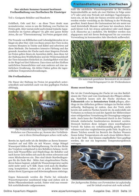 OAM Ausgabe Dezember 2010 - Online Aquariummagazin