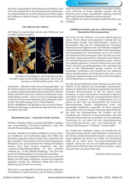 OAM Ausgabe Dezember 2010 - Online Aquariummagazin