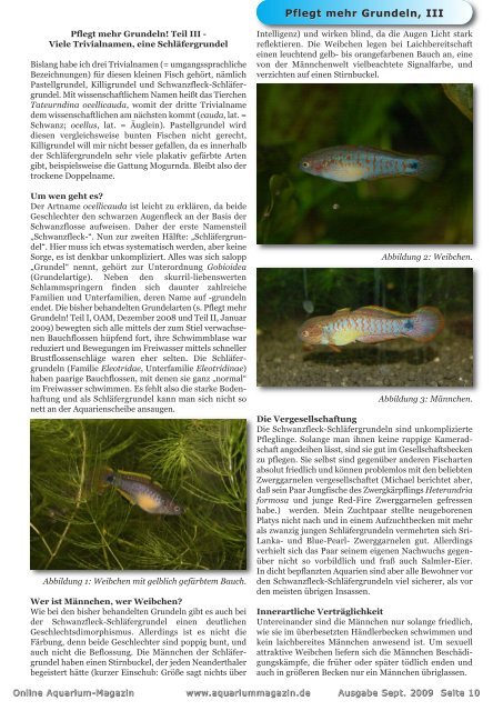 OAM Ausgabe September 2009 - Online Aquariummagazin