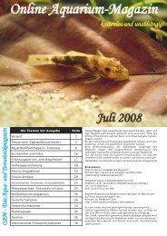 Download - Online Aquariummagazin