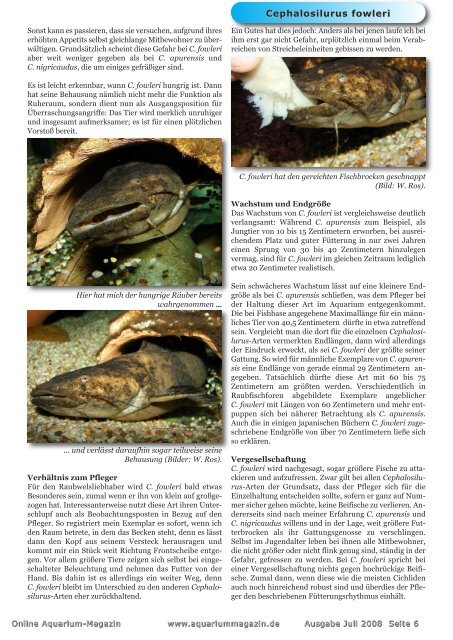 Download - Online Aquariummagazin
