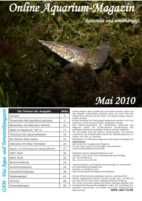 Online Aquarium-Magazin Mai 2010 - Die Wirbellosen